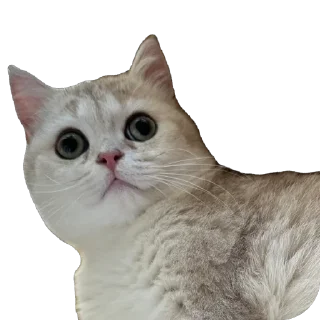 🤪 emoji Мася Гномыч Telegram sticker 15 of 22