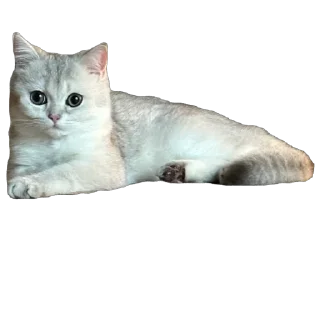 🥖 emoji Мася Гномыч Telegram sticker 9 of 22