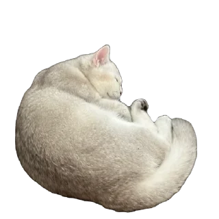 🍩 emoji Мася Гномыч Telegram sticker 10 of 22