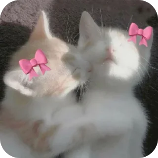 Sticker from Emi💋 @TgEmodziBot