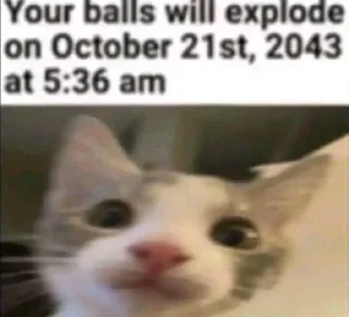 🌟 emoji Floppich/Шлёпыч Telegram sticker 18 of 115
