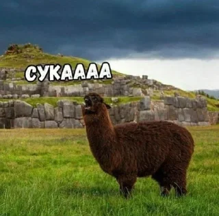 🌟 emoji лень Telegram sticker 9 of 30
