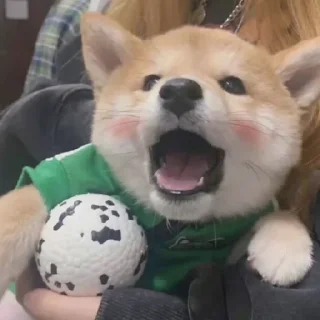 😋 emoji шушик съест весь мир Telegram sticker 22 of 50