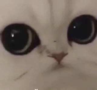 😧 emoji кристя>весь мир Telegram sticker 12 of 63