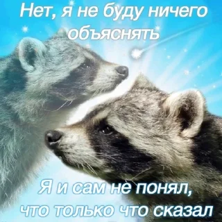 🌟 emoji дырный сраник от @ni_alay Telegram sticker 19 of 72