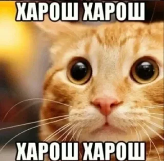 👍 emoji нахуй идите Telegram sticker 19 of 120
