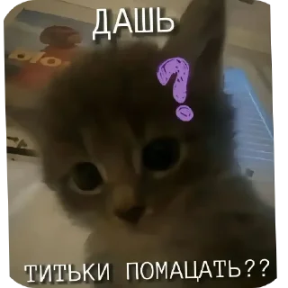 Sticker from стикеро4ки