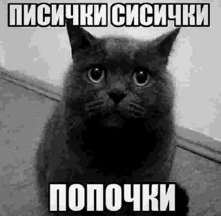 🍆 emoji на все случаи жизни @Yvnitskii13 Telegram sticker 22 of 89