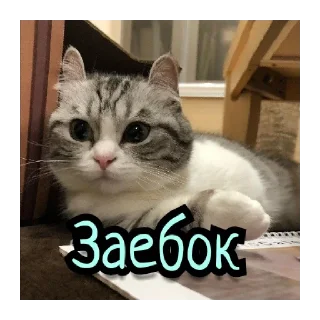 😊 emoji Комары #1 Telegram sticker 20 of 36