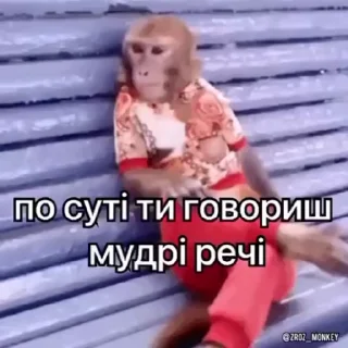 🤓 emoji Їбучі мавпи Telegram sticker 13 of 74