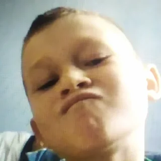 😶 emoji Моя семья Telegram sticker 18 of 22