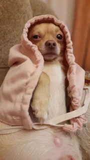 💞 emoji ТриоМаш Telegram sticker 21 of 50
