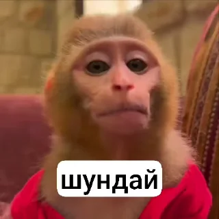 🌟 emoji @kibrlikman mashka Telegram sticker 15 of 120