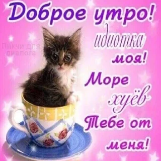 Sticker from Гипсофила 🌱