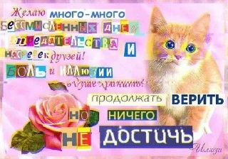 Sticker from кюхтрешпак