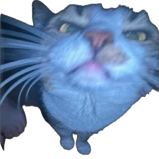 🤢 emoji Яша🐈 by @v_froll Telegram sticker 16 of 38