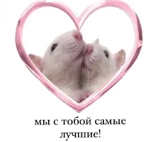 🐀 emoji валеруся💔 Telegram sticker 18 of 57