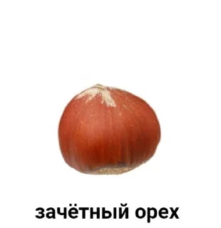 🌰 emoji валеруся💔 Telegram sticker 22 of 57