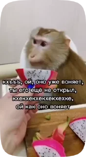 Sticker from МяуЛучшая