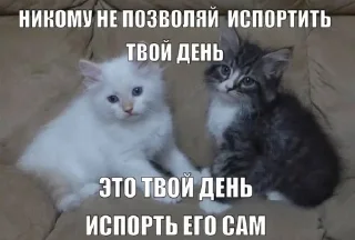 Sticker from Котикотитики