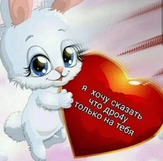 Sticker from Котики