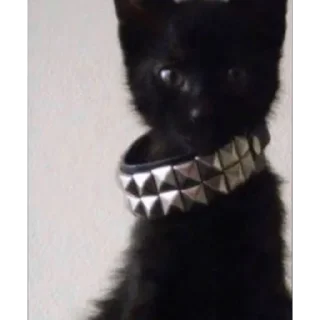 👹 emoji заморская весна Telegram sticker 6 of 93