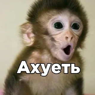 😈 emoji Хз Telegram sticker 22 of 62