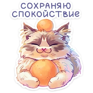🧘‍♂️ emoji Стелла • @TgStickery Telegram sticker 12 of 48