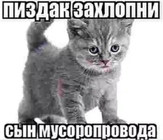 🤐 emoji няшк @okda46 Telegram sticker 19 of 120