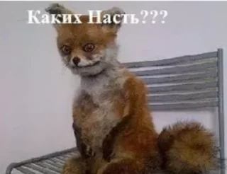 🤦‍♂️ emoji Настя Telegram sticker 12 of 50