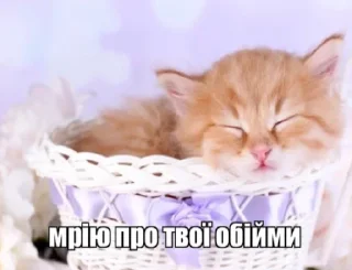 🥰 emoji явахуї Telegram sticker 17 of 18