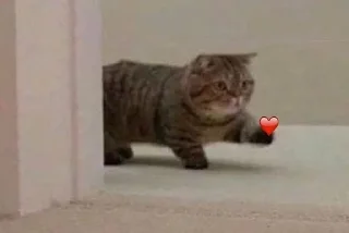 🌟 emoji дьявол одетый в сраку Telegram sticker 19 of 28