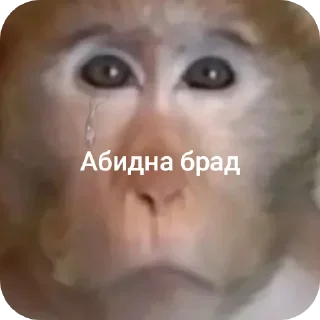 😀 emoji Шелби брад Telegram sticker 20 of 33