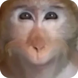 😀 emoji Шелби брад Telegram sticker 18 of 33