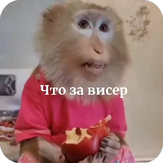 🌟 emoji Шелби брад Telegram sticker 14 of 33