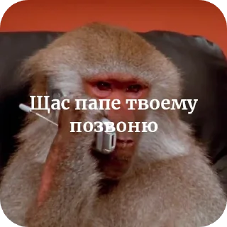 👍 emoji Шелби брад Telegram sticker 10 of 33