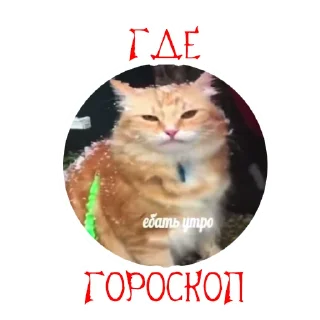 ♋️ emoji Хихи хаха пердяк пасты Telegram sticker 16 of 49