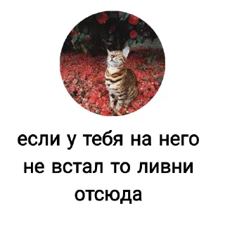 Sticker from ORION БлятБ @orionbomber