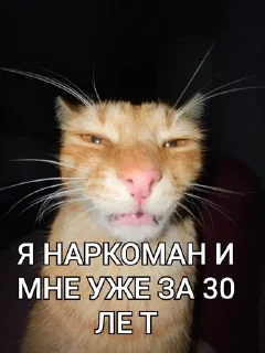 ❤ emoji Жить Telegram sticker 20 of 33