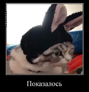 🤔 emoji милки топ Telegram sticker 14 of 25