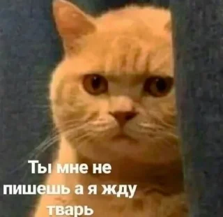 😐 emoji специально для тебя Telegram sticker 11 of 110