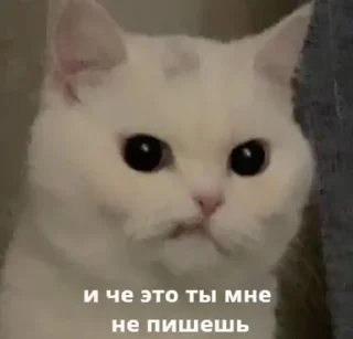❓ emoji специально для тебя Telegram sticker 10 of 110