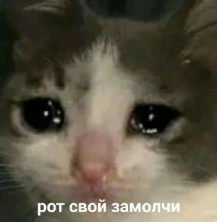 😑 emoji специально для тебя Telegram sticker 14 of 110