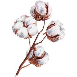 🤍 emoji Honey Telegram sticker 19 of 60