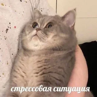 😬 emoji Бунт против мальчиков Telegram sticker 22 of 120