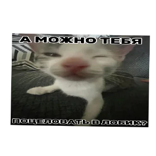 Sticker from Не пизди у Оли ➡️ @Ctikerubot