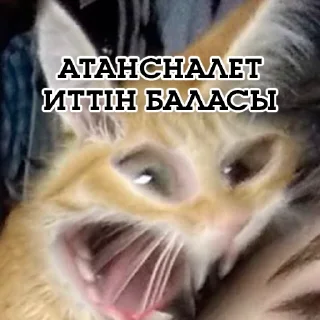 😡 emoji СКПД Telegram sticker 19 of 99