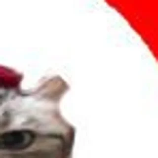 ▫️ emoji ФЛАГ БУТЕРБРОДИКОВ 🫡 Telegram sticker 9 of 25