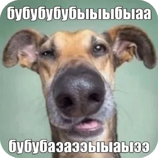 Sticker from Оленья жопa