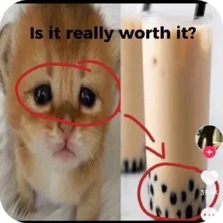 🐱 emoji Но соск Telegram sticker 12 of 55